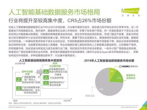 中國人工智能基礎數據服務與基礎軟件開發 雙輪驅動下的產業躍遷